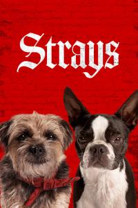 Backstreet Dogs / Strays.2023.2160p.MA.WEB-DL.DDP5.1.Atmos.H.265-FLUX