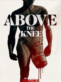 Above the Knee