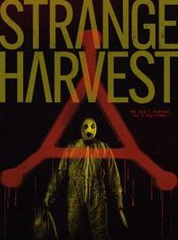 Strange.Harvest.2024.1080p.AMZN.WEB-DL.DDP5.1.H.264-N0N4M3