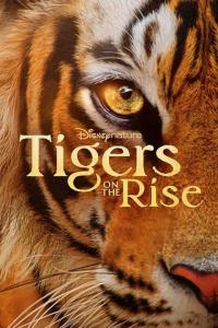 Tigers on the Rise / Tigers on the Rise