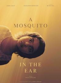 A Mosquito In The Ear / A Mosquito In The Ear