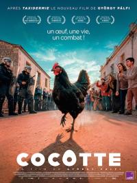Cocotte / Kota / Hen