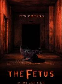 The.Fetus.2025.MULTi.COMPLETE.BLURAY-PtBM