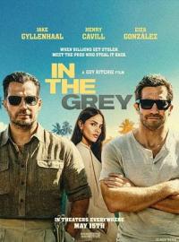 In.The.Grey.2026.1080p.TS.H264-OnlyFlix
