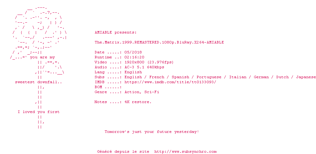 Nfo de la release The.Matrix.1999.REMASTERED.1080p.BluRay.x264-AMIABLE